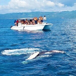 Samana with whale (january-april )