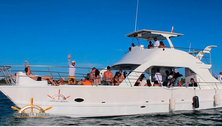 Saona Island Semi Private Itinerary: Canto de la Playa + Catamaran Party - Image 6