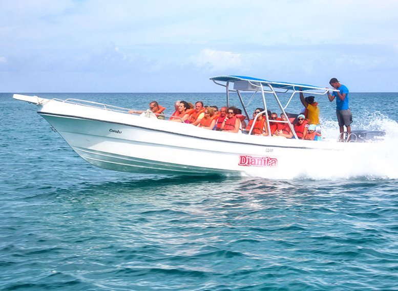 Saona Island Semi Private Itinerary: Canto de la Playa + Catamaran Party - Image 2