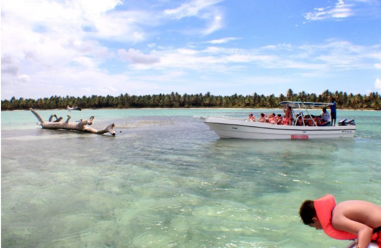 Saona Island Semi Private Itinerary: Canto de la Playa + Catamaran Party - Image 14