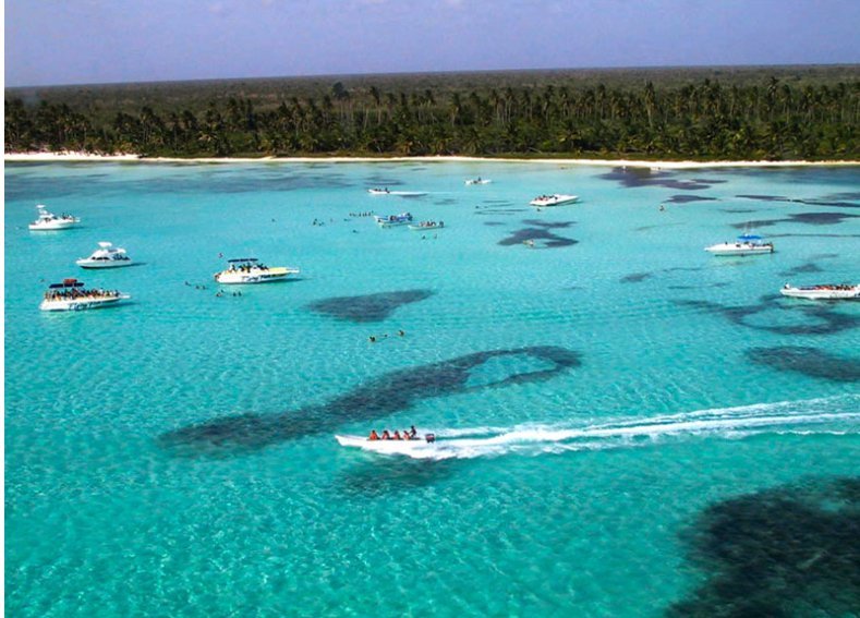 Saona Island Semi Private Itinerary: Canto de la Playa + Catamaran Party - Image 12