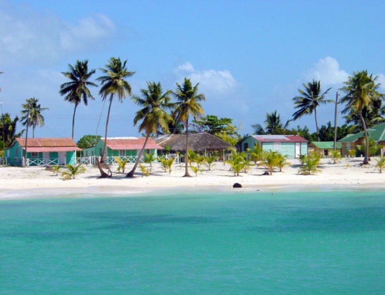 Saona Island Semi Private Itinerary: Canto de la Playa + Catamaran Party - Image 11