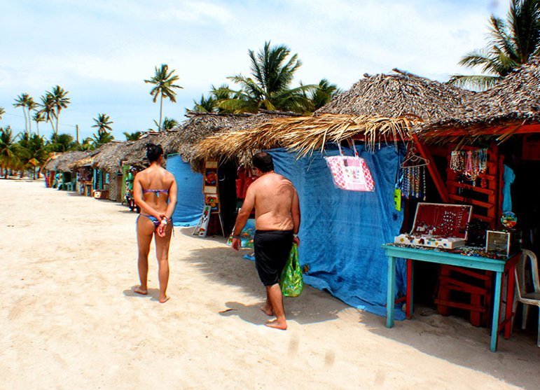 Saona Island Semi Private Itinerary: Canto de la Playa + Catamaran Party - Image 10