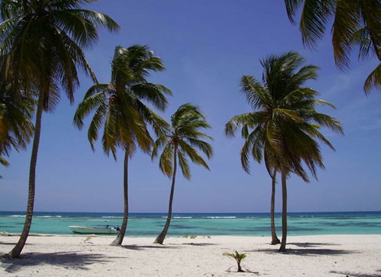 Saona Island Semi Private Itinerary: Canto de la Playa + Catamaran Party - Image 9