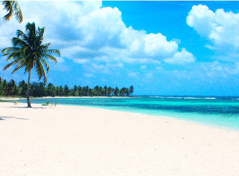 Saona Island Semi Private Itinerary: Canto de la Playa + Catamaran Party - Image 8