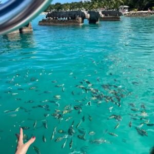 Saona Island – Private Tour by Speedboat Medium Group Package
